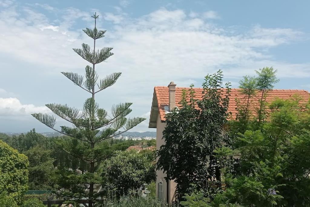 Claelle Appartment - 200M Beach Mandelieu Εξωτερικό φωτογραφία