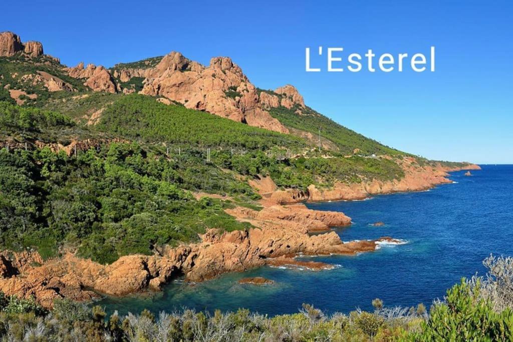 Claelle Appartment - 200M Beach Mandelieu Εξωτερικό φωτογραφία