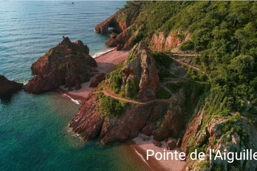 Claelle Appartment - 200M Beach Mandelieu Εξωτερικό φωτογραφία