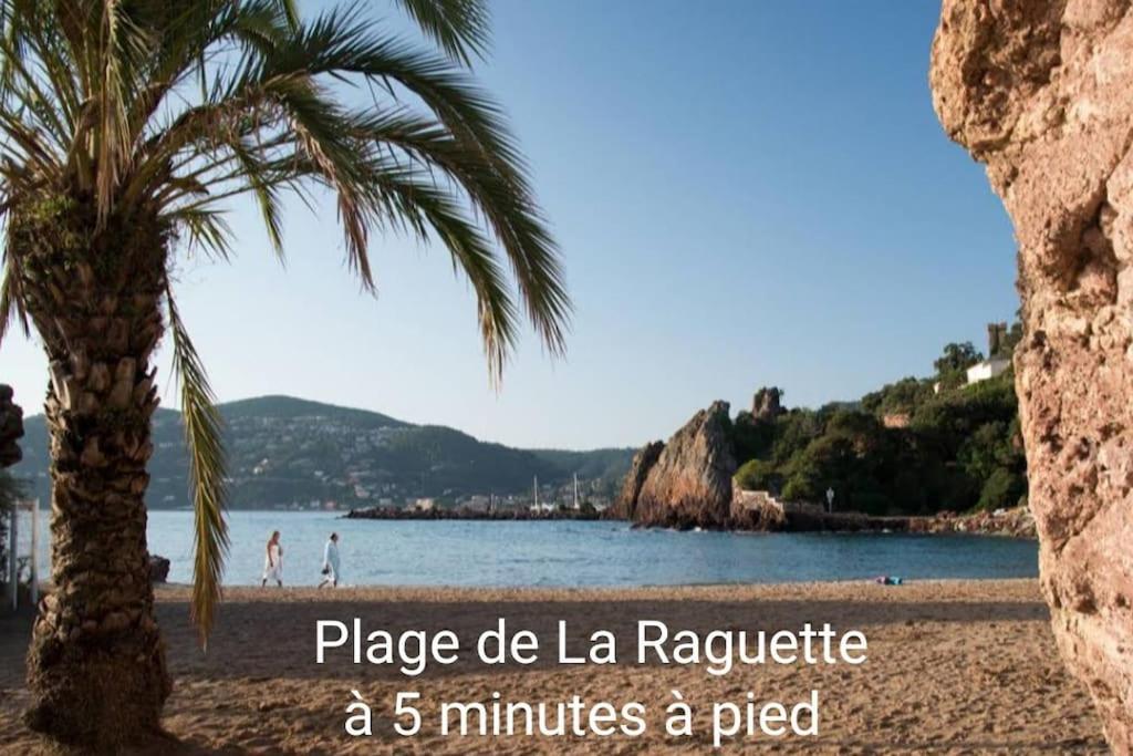 Claelle Appartment - 200M Beach Mandelieu Εξωτερικό φωτογραφία